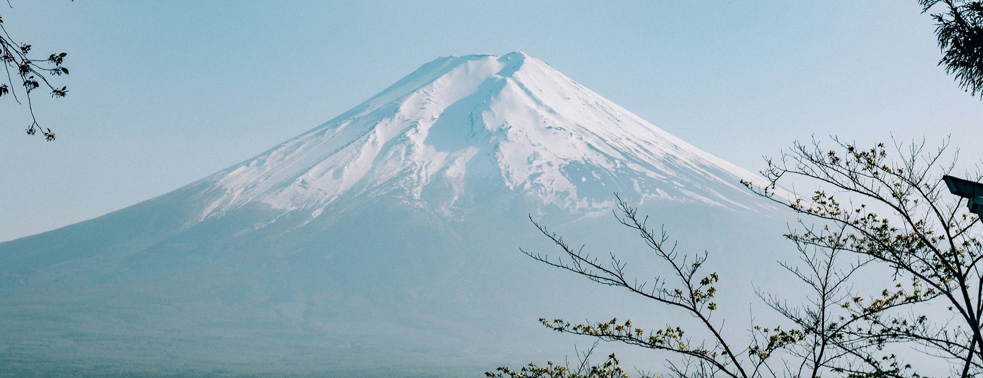 Circuit - Descoperă Magia Cireșilor în Floare în Japonia și Coreea de Sud