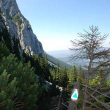 Cabana Plaiul Foii - Saua Funduri - Bran / Sirnea / Zarnesti  - In drum spre Saua Funduri