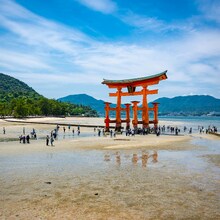 Japonia & Coreea de Sud – Spectacolul Primăverii - Insula MIYAJIMA