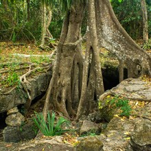Croazieră de Paște în Caraibe și City Break la Miami - Croazieră și City Break la Miami