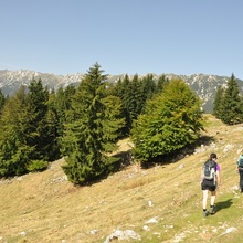 Drumeție în Parcul Național Piatra Craiului - Drumetie montana Piatra Craiului zona Poiana Zănoaga