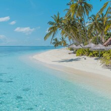Last Minute Maldive – Vacanță Exotică la Preț Special - Vacanță exotică