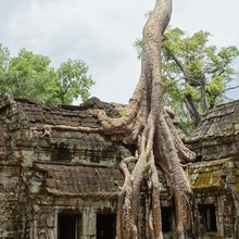 Circuit Thailanda – Cambodgia: Bangkok, Angkor și Koh Russey - Templul Ta Prohm în junglă – Siem Reap, Cambodgia