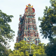India de Sud – Circuit Cultural în Tamil Nadu și Kerala - Templul Meenakshi, Madurai