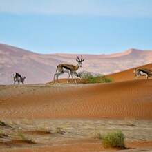 Namibia, o altă expresie a Africii - Experiență africană în Namibia