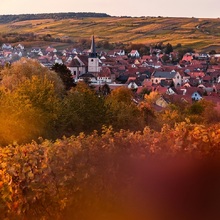 Circuit Alsacia și Lorena 2026 – Strasbourg, Colmar și satele Alsaciei - Obernai – Sat pitoresc pe Drumul Vinului din Alsacia