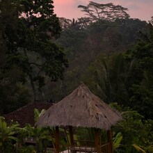 Circuit Java – Bali – Singapore: Cultură, Tradiții și Paradis Exotic - Ubud, Gianyar Regency, Bali, Indonesia