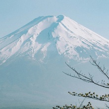 Circuit - Descoperă Magia Cireșilor în Floare în Japonia și Coreea de Sud