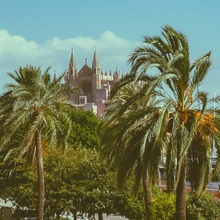 Mallorca: plaje superbe, resorturi variate și vacanțe pentru toate stilurile - Palma de Mallorca cu palmieri și catedrala La Seu