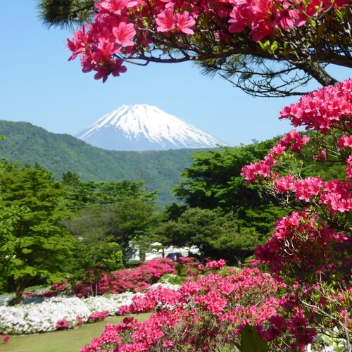 Japonia & Coreea de Sud – Spectacolul Primăverii - Circuit Japonia