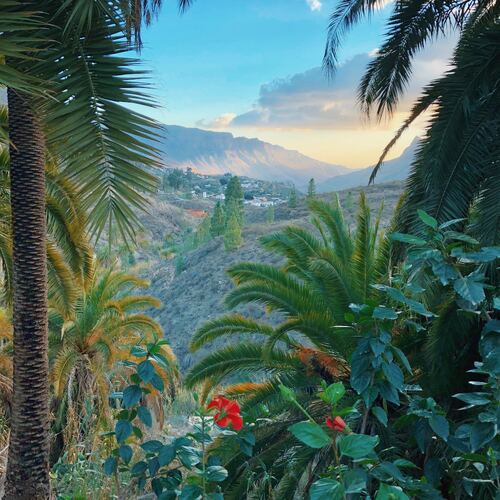 Early Booking vara 2026 Gran Canaria  - Insulele Canare, Gran Canaria