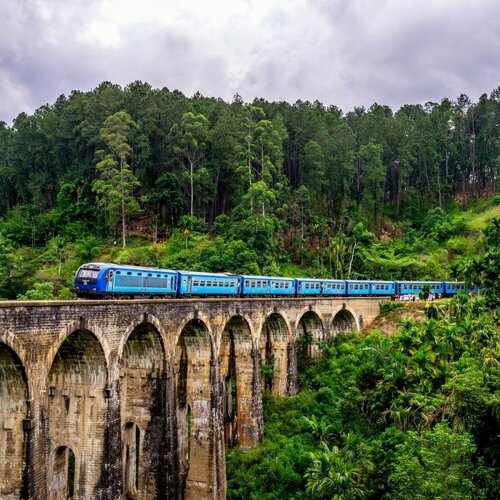 Petrece Craciunul in Sri Lanka!