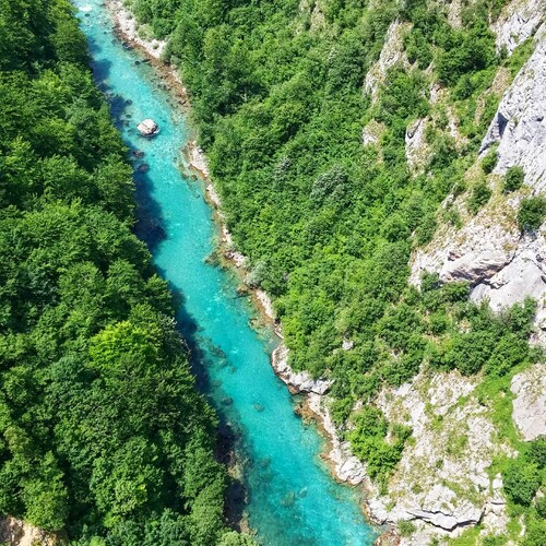 First Minute Muntenegru - vara 2026 - Muntenegru, Tara, vara 2026