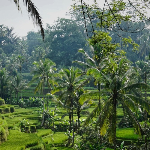 Indonezia, Bali 2026