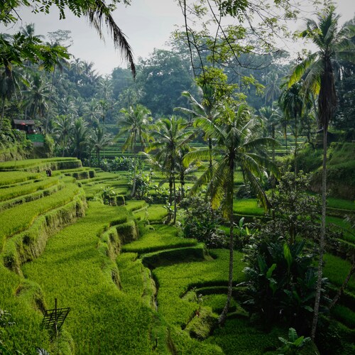 Trăiește magia insulei Bali! - Bali, Indonezia
