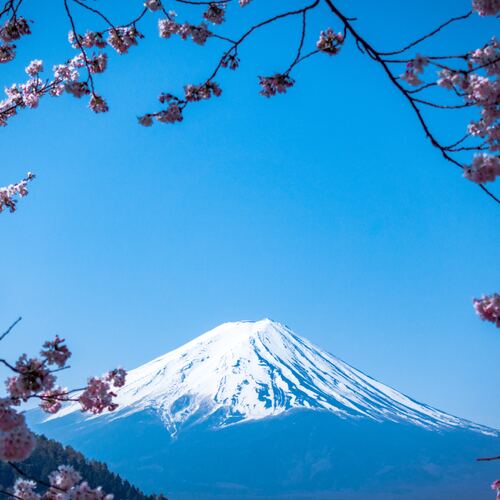 Japonia – Experiențe Premium