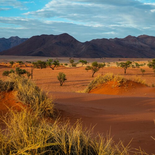 Namibia, o altă expresie a Africii