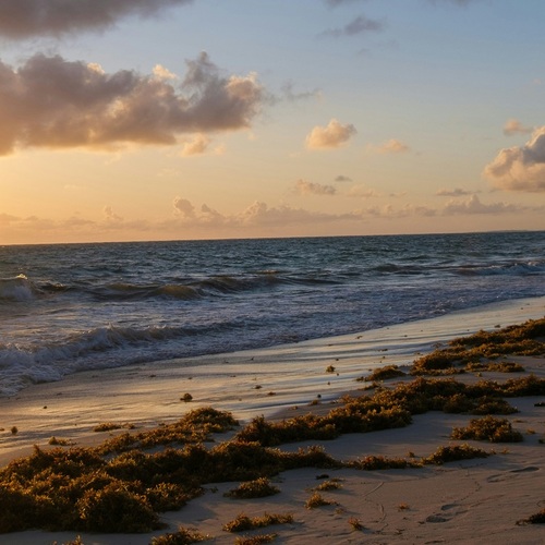 Republica Dominicană 2027 – Vacanțe All Inclusive în Punta Cana, Bayahibe și Miches
