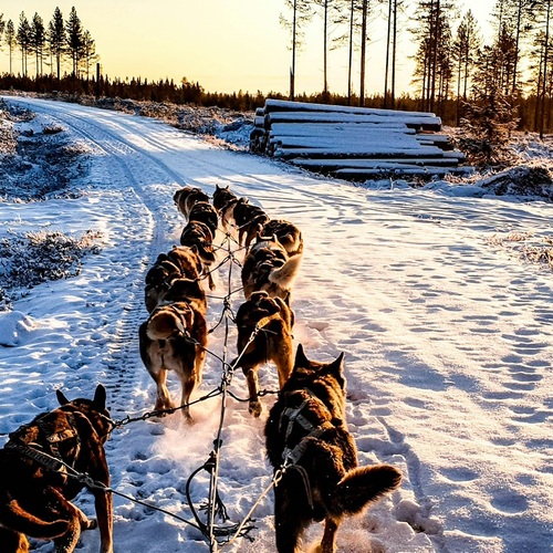 Laponia 2026 – Rovaniemi și Satul lui Moș Crăciun