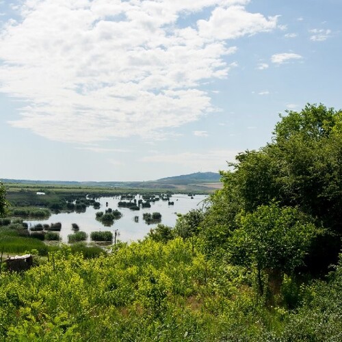 Vacanță în Delta Dunării la Pensiunea 4 Salcii Mahmudia 3*