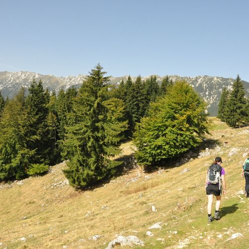 Zarnesti - Prapastii - valea Vladusca - 'La Table' - Satul Sirnea 