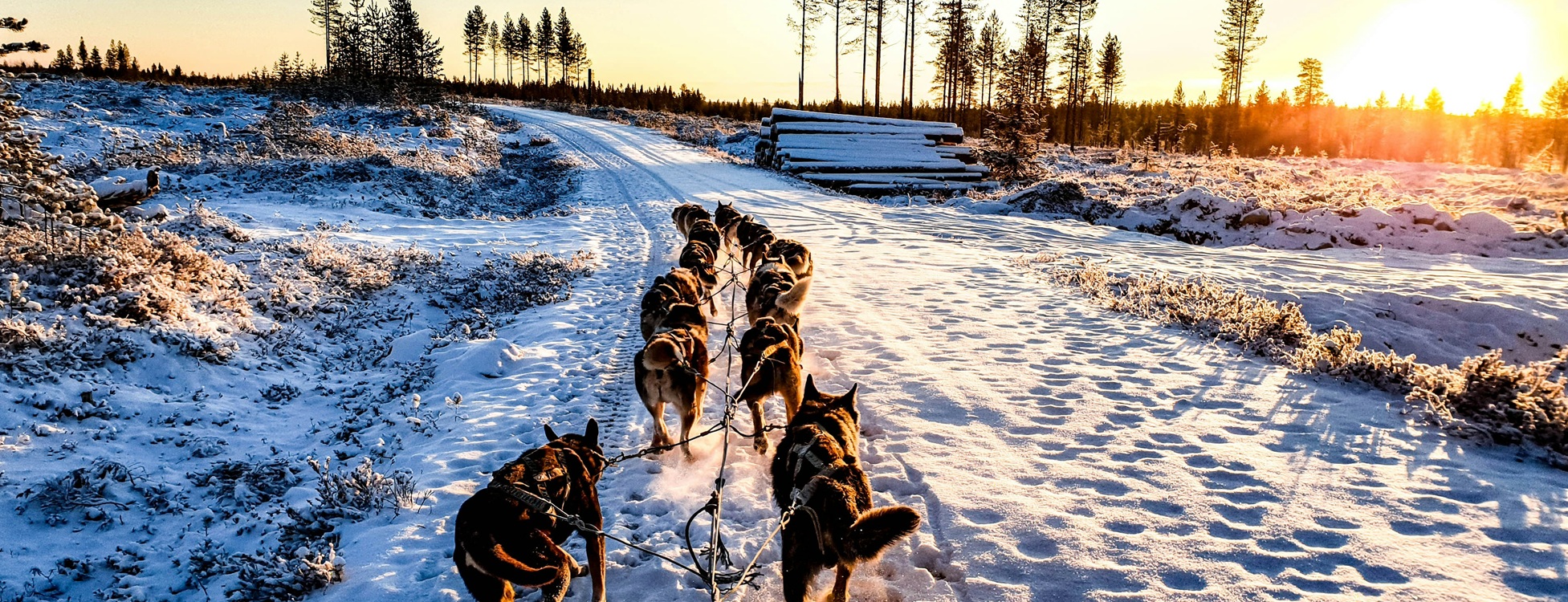 Laponia 2026 – Rovaniemi și Satul lui Moș Crăciun